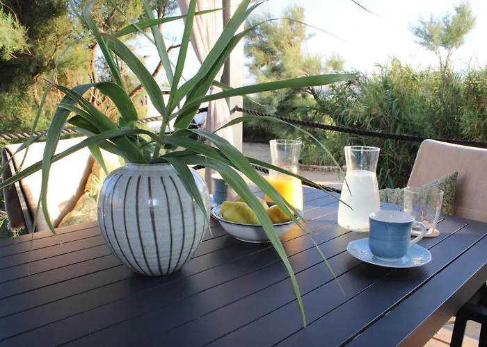 Sha-shaaa Luxury Mobile - Terra Park Spiritos