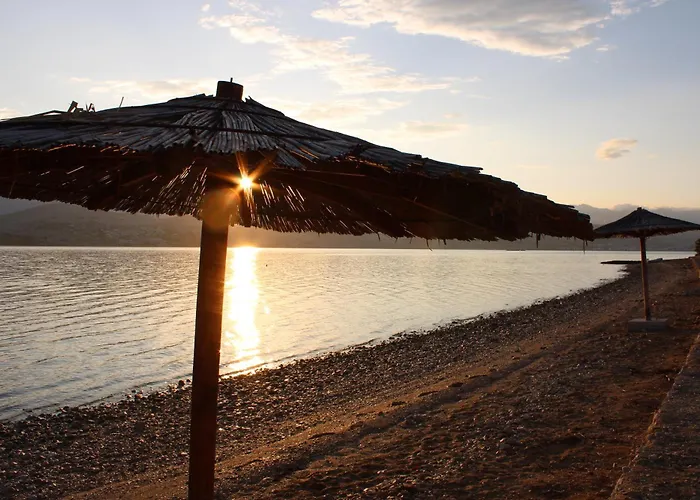 Sha-shaaa Luxury Mobile - Terra Park Spiritos