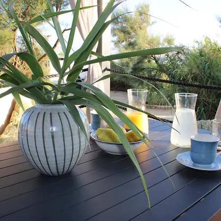 Sha-shaaa Luxury Mobile - Terra Park Spiritos