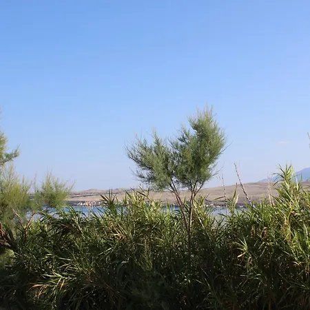 Κάμπινγκ Sha-shaaa Luxury Mobile - Terra Park Spiritos