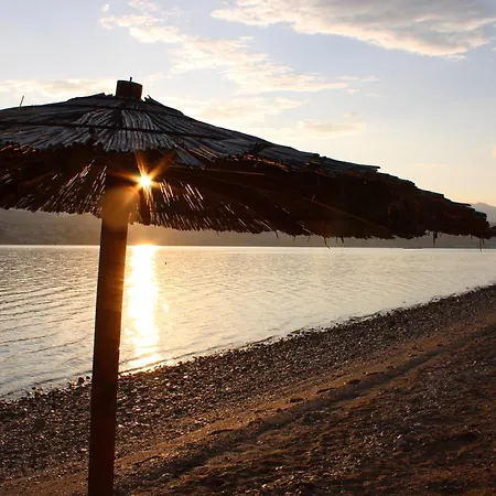 Sha-shaaa Luxury Mobile - Terra Park Spiritos