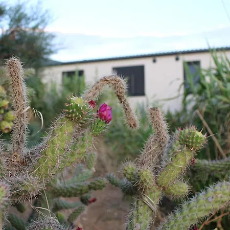 Κάμπινγκ Sha-shaaa Luxury Mobile - Terra Park Spiritos