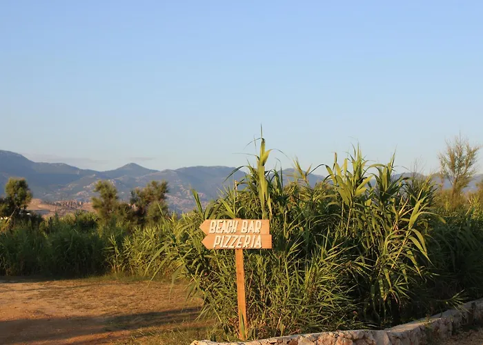 Sha-shaaa Luxury Mobile - Terra Park Spiritos *