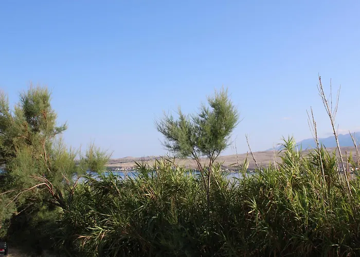 Кемпинг Sha-shaaa Luxury Mobile - Terra Park Spiritos