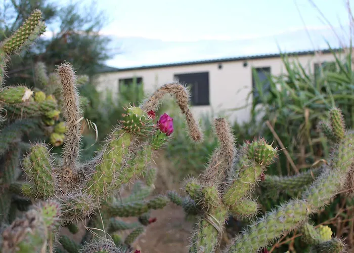 Кемпинг Sha-shaaa Luxury Mobile - Terra Park Spiritos