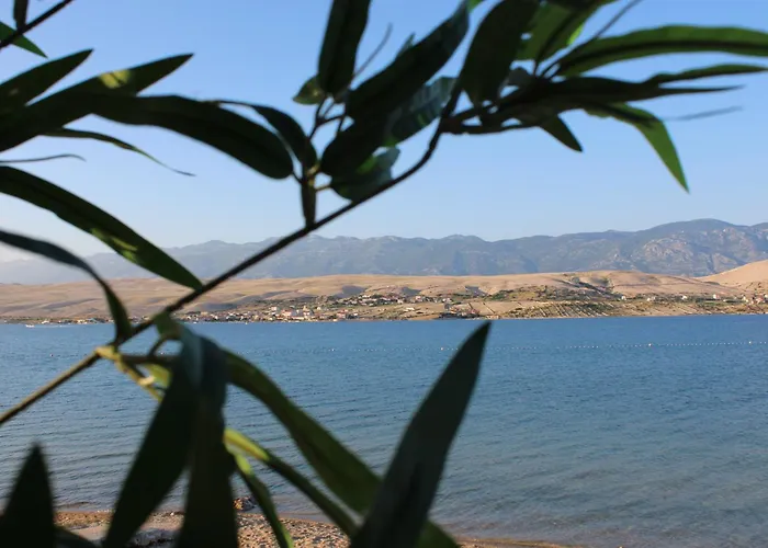 Sha-shaaa Luxury Mobile - Terra Park Spiritos Колан