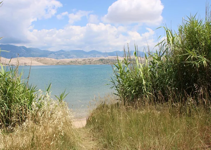 Sha-shaaa Luxury Mobile - Terra Park Spiritos *